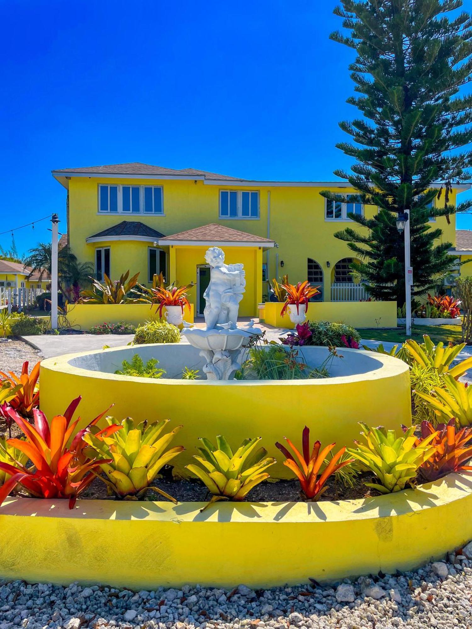 Golden Palms House Panzió Nassau Kültér fotó
