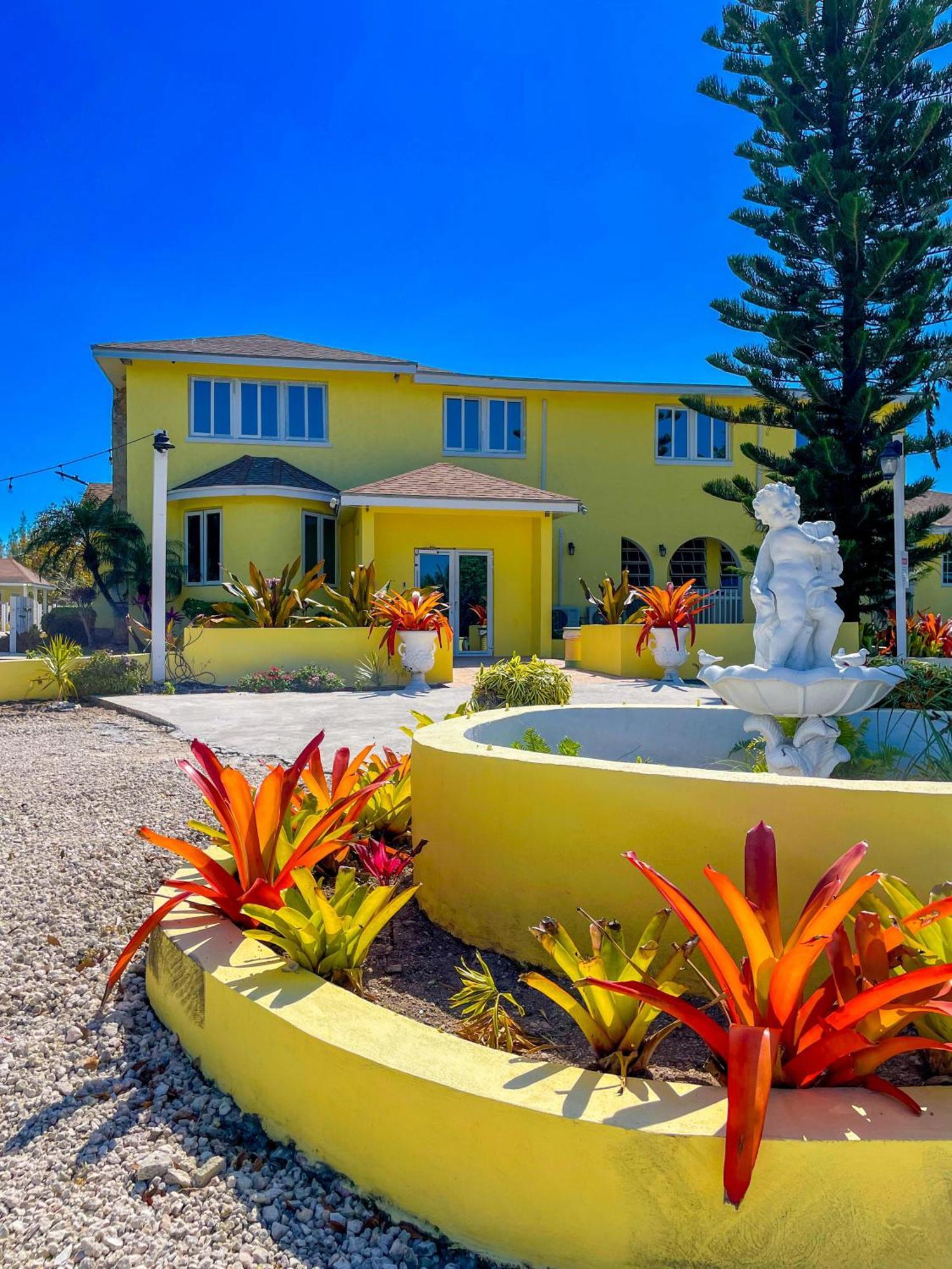 Golden Palms House Panzió Nassau Kültér fotó